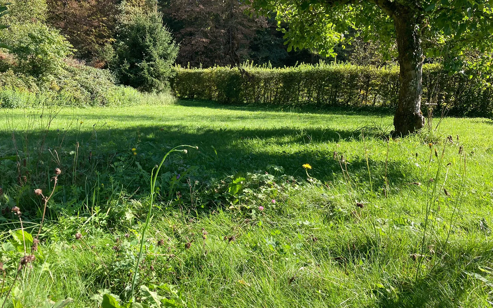 Wildenau Camping — photo 3