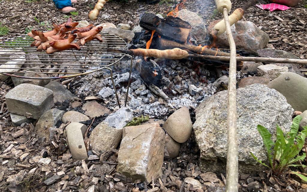 Laubfrösche schätzen den Lebensraum im Reisfeld